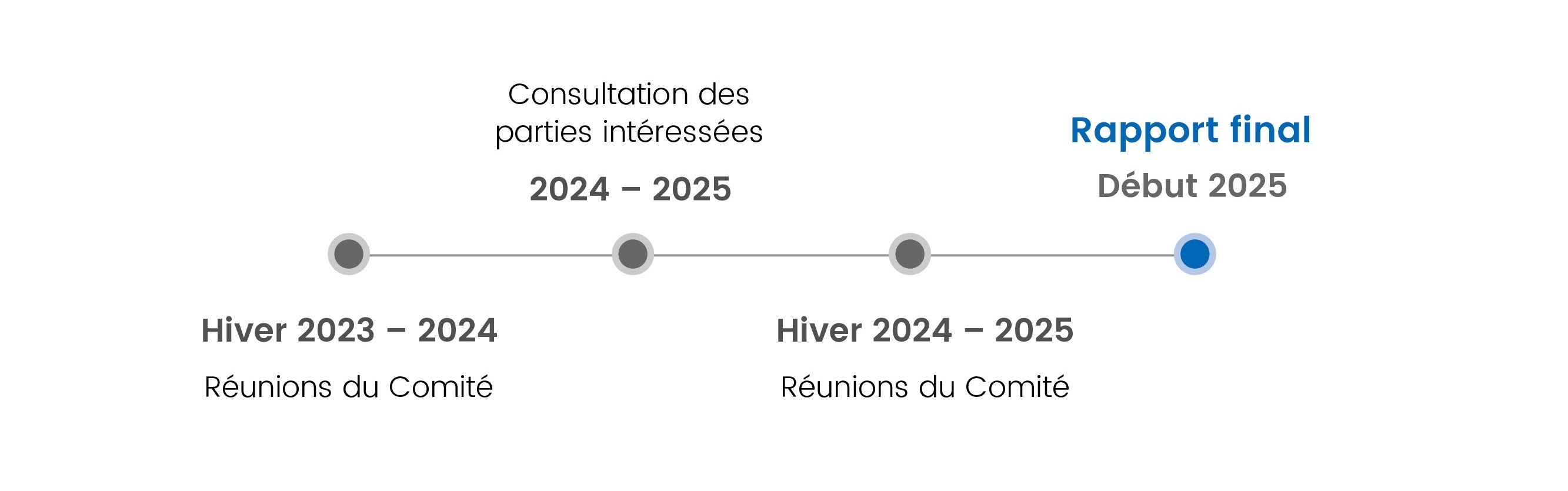 Échéancier du projet : réunions du Comité, hiver 2023-2024; consultation des partenaires, 2024-2025; réunions du Comité, hiver 2024-2025; rapport final, début 2025