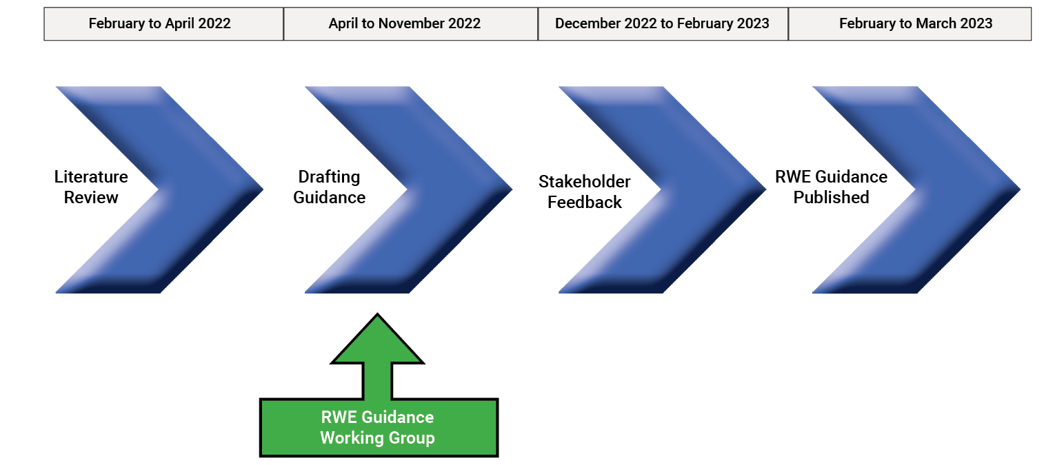 The RWE Panel is incorporated into the second stage for RWE Guidance development. This will occur from April to November 2022, followed by an opportunity for Stakeholder Feedback before RWE guidance is published by March 2023.