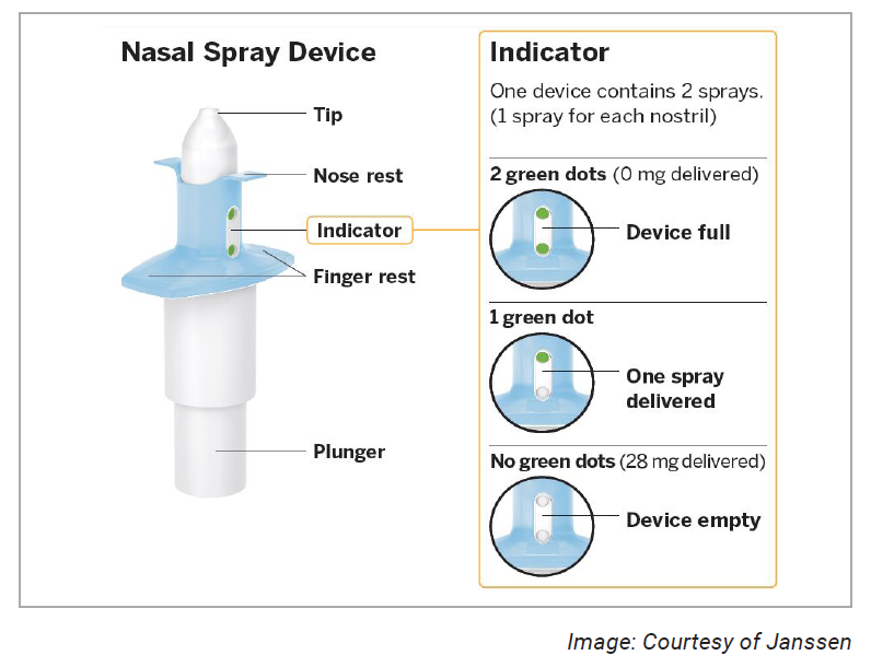 Parts of the nasal spray device.