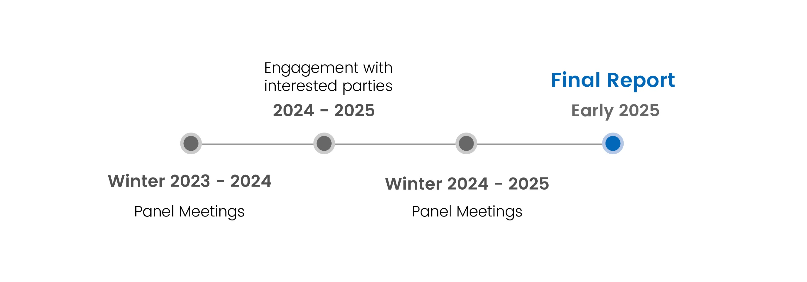 Project timeline: panel meetings, winter 2023-2024; partner engagement, 2024-2025; panel meetings, winter 2024-2025; and final report, early 2025